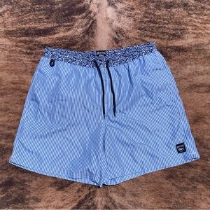 Men’s Striped Spicy Tuna Swim Trunks Large